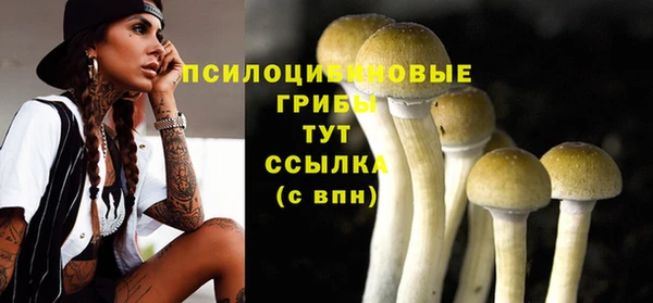 первитин Ладушкин