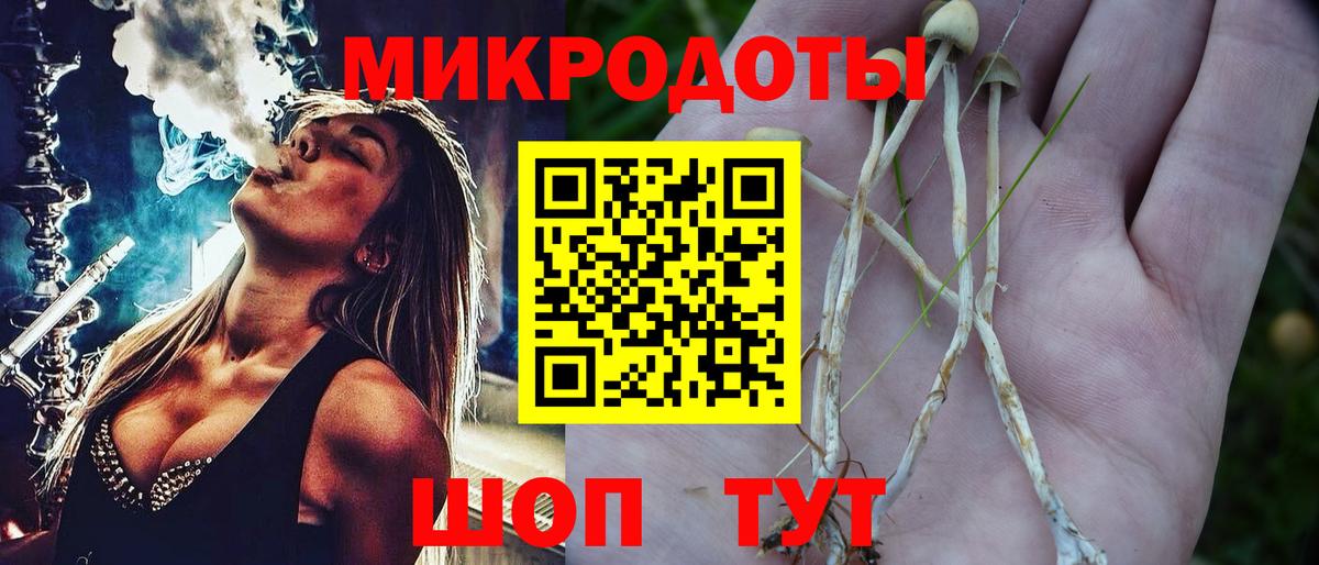 Псилоцибиновые грибы Cubensis  Вход с VPN  Лангепас 